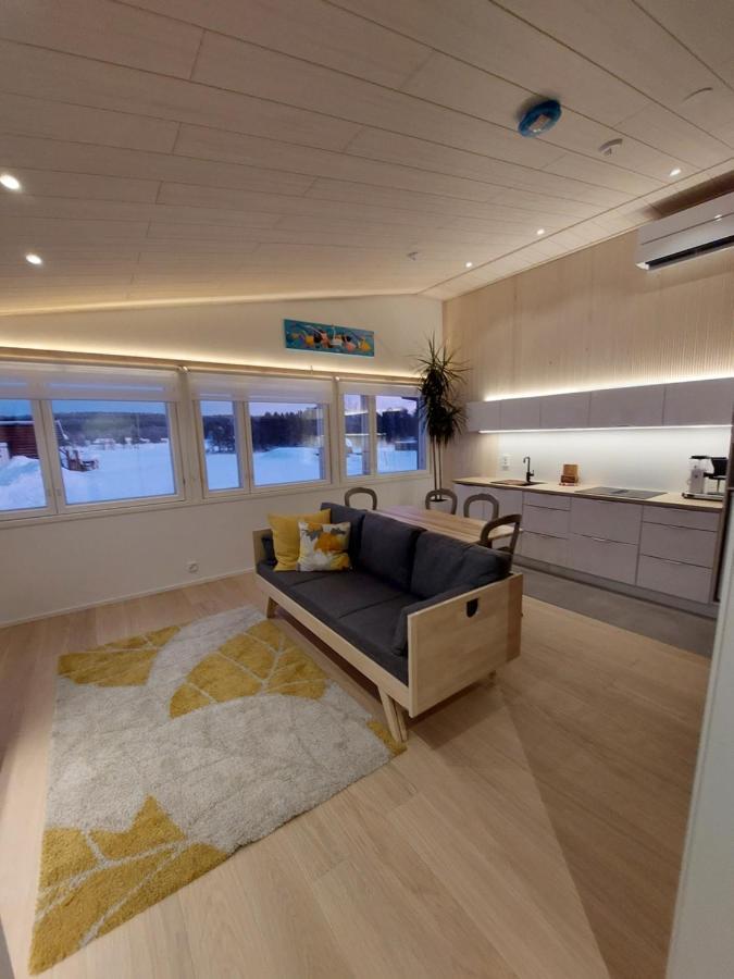 Arctic River Chalet 罗瓦涅米 外观 照片